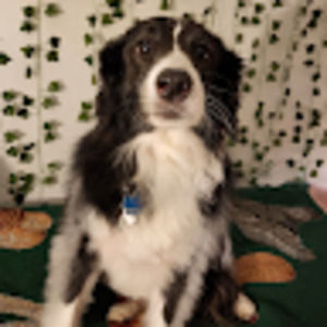 Meet your Posher, Michaela